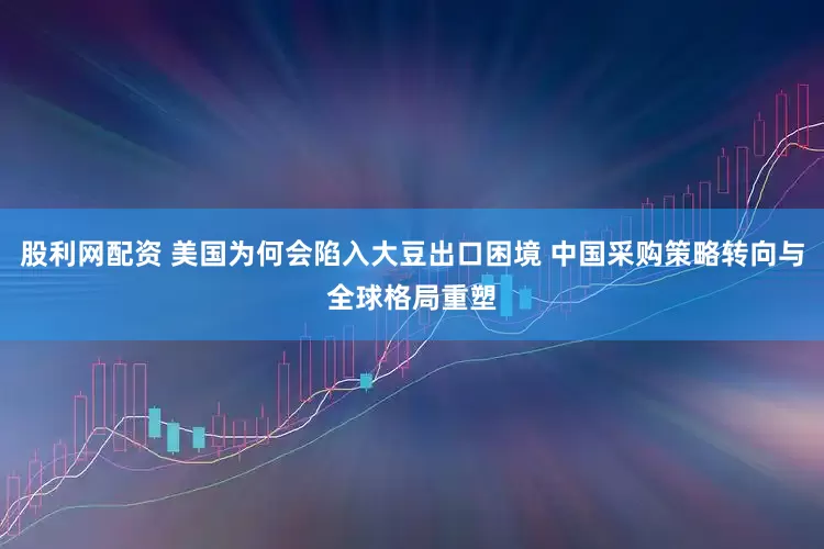 股利网配资 美国为何会陷入大豆出口困境 中国采购策略转向与全球格局重塑