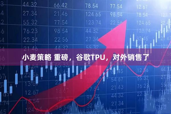 小麦策略 重磅，谷歌TPU，对外销售了