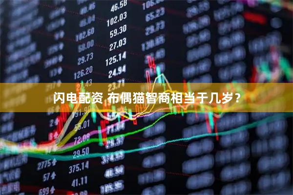 闪电配资 布偶猫智商相当于几岁？
